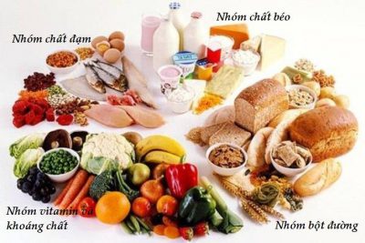 Tìm hiểu các nhóm thực phẩm